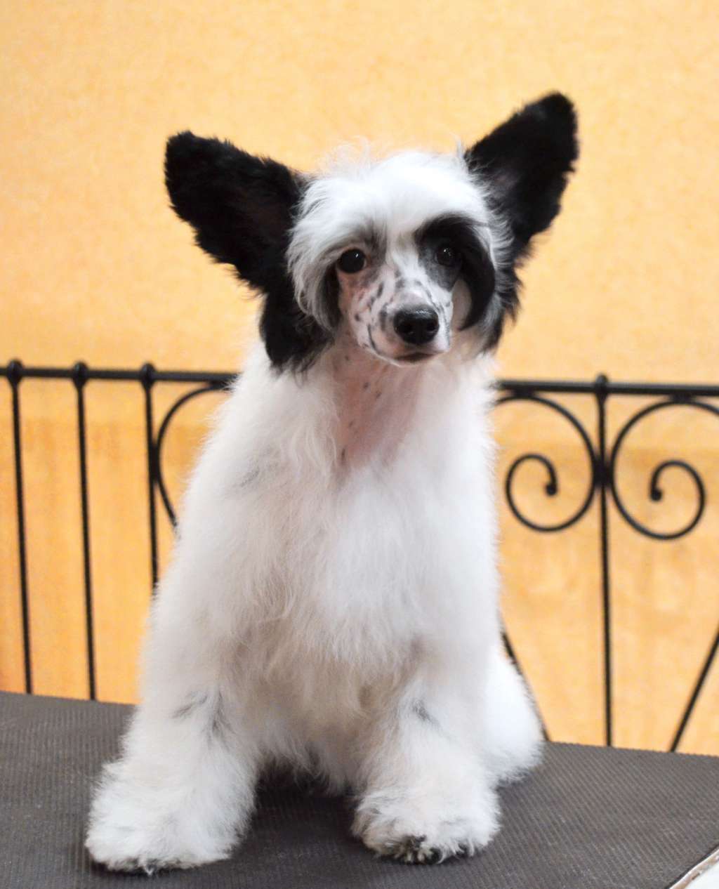 Etno Spirit  Inspiration