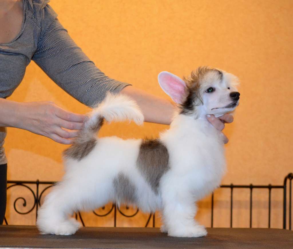 Etno Spirit Keep Your Way