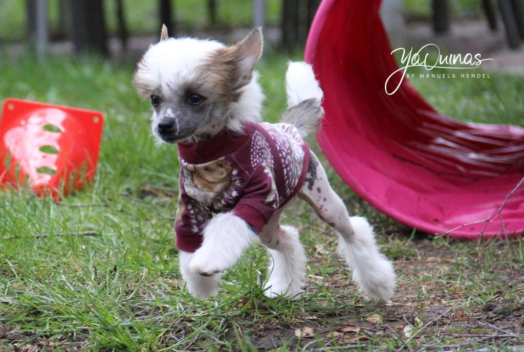 Bonjour Sunshine von Shinbashi