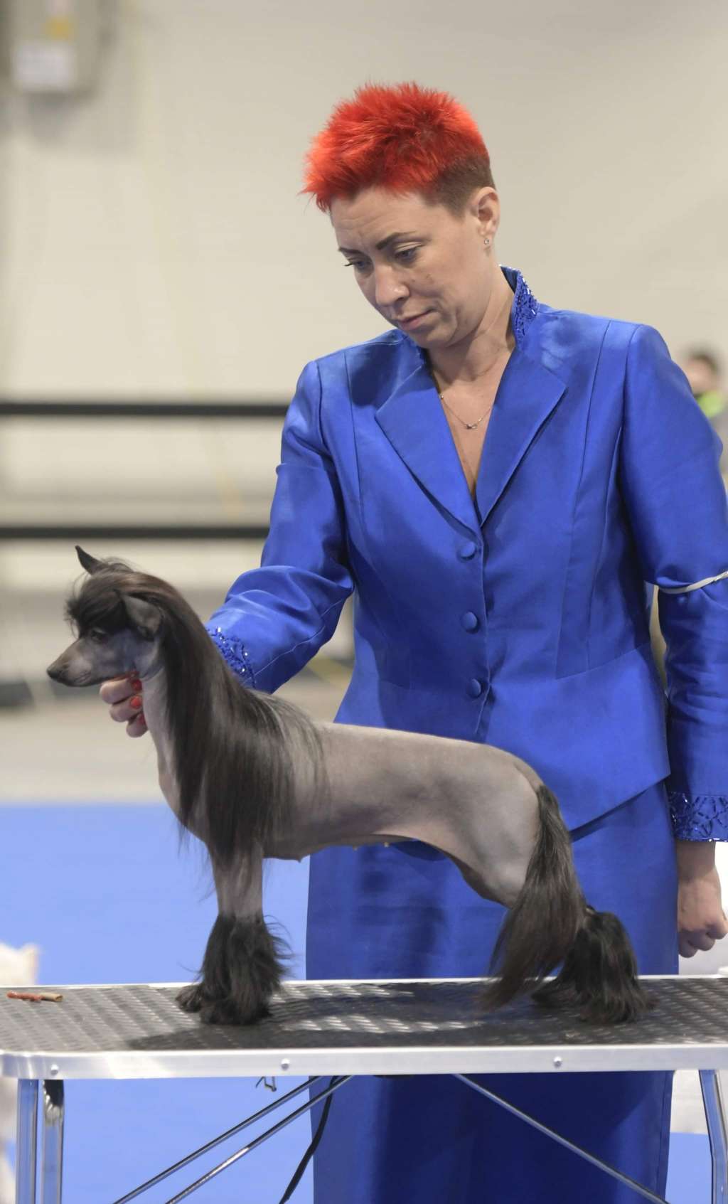 HitLine Ltd Di Energy