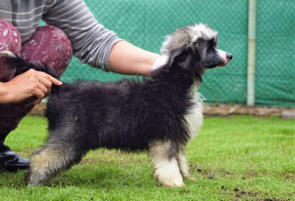 Sound of Silence Heybett