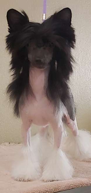 Winwood's Secret Ingredient  @ BRK