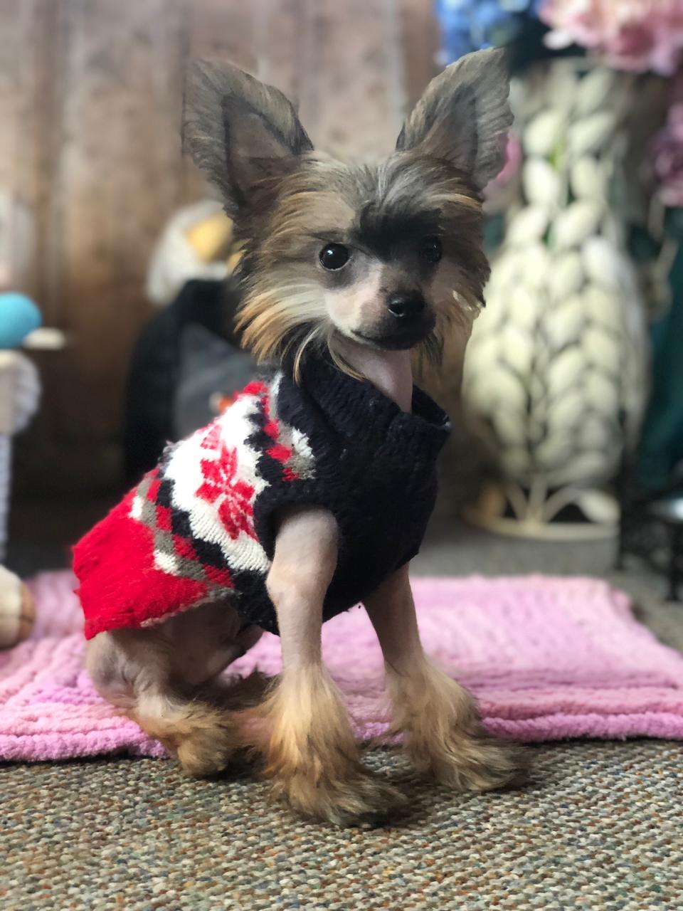 Charuyuschiy Soblazn Chudesa sluchayutsya