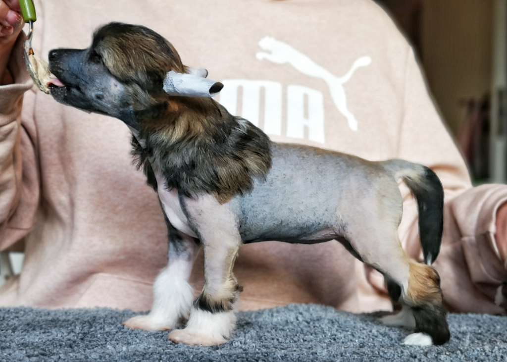 Oblivion Greeley Estates