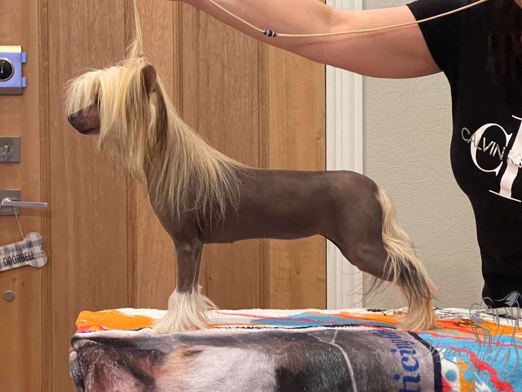 Olyuti's Enticing Girl