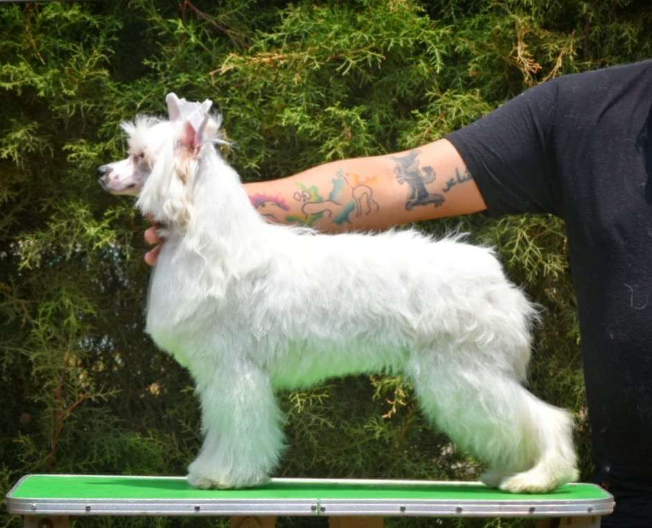 Katana Hot Spots (Cantarell)