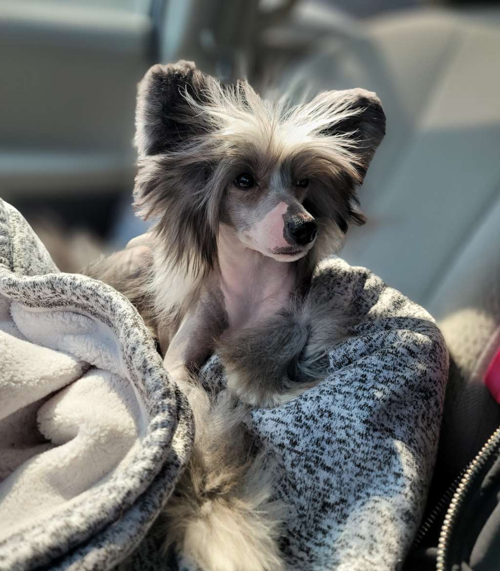 Nv's I See The Moon, The Moon C's Me @ Paragon