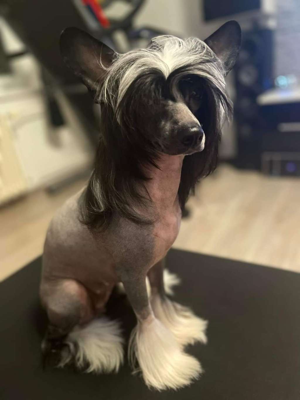 Forseti's The Prickly Margarita