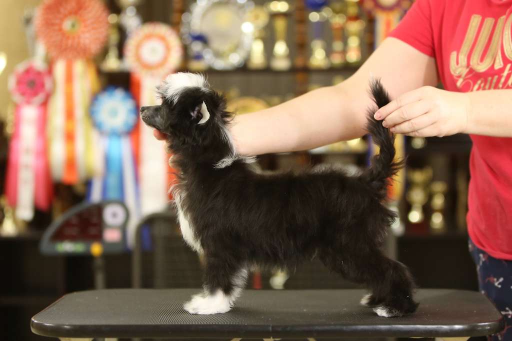 Incanto Del Mondo La La Land