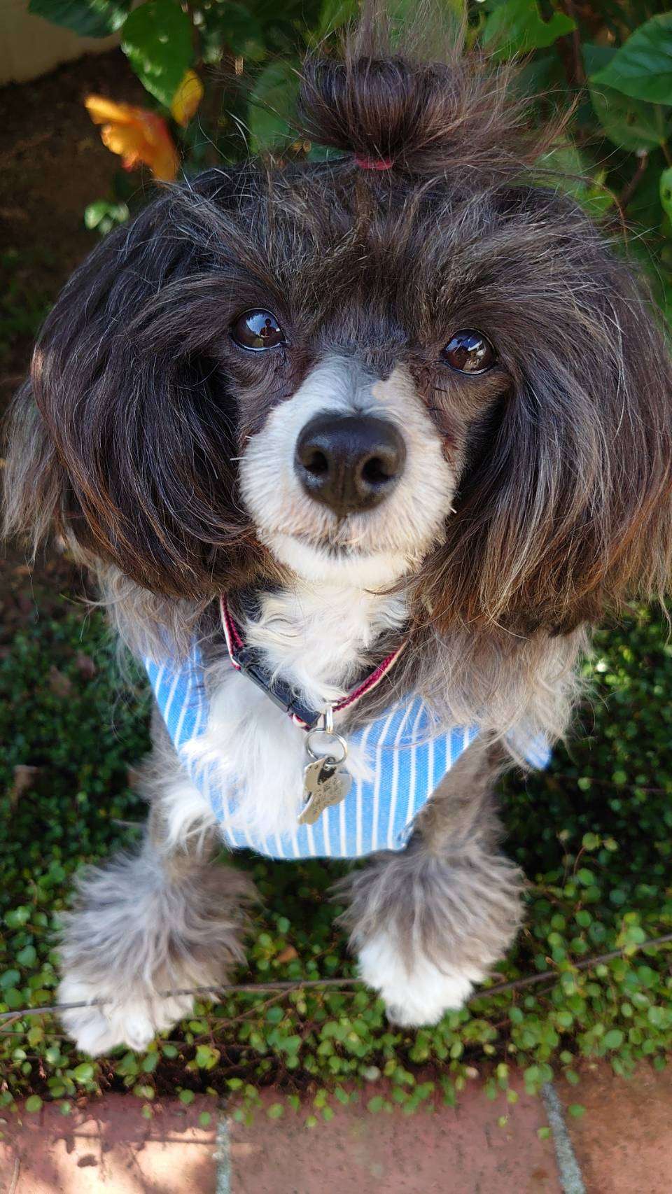 Eternity Sirius Jp Bertha