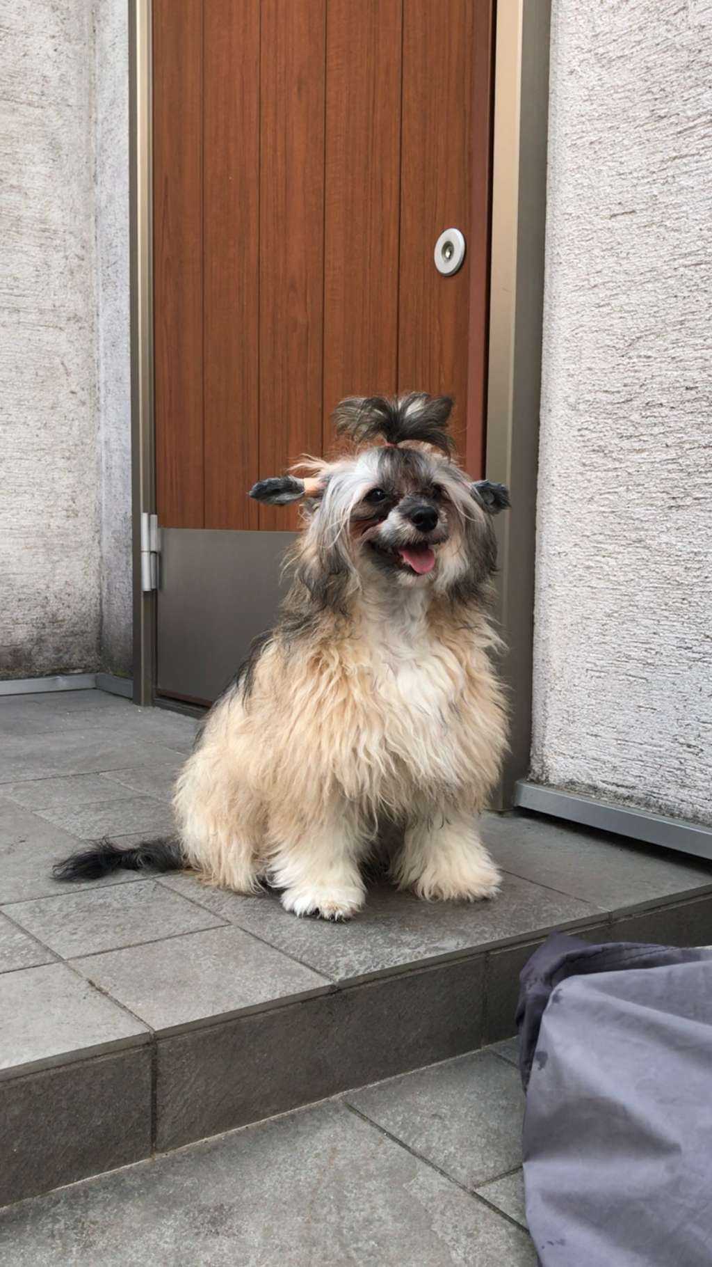 Eternity Sirius Jp Doris