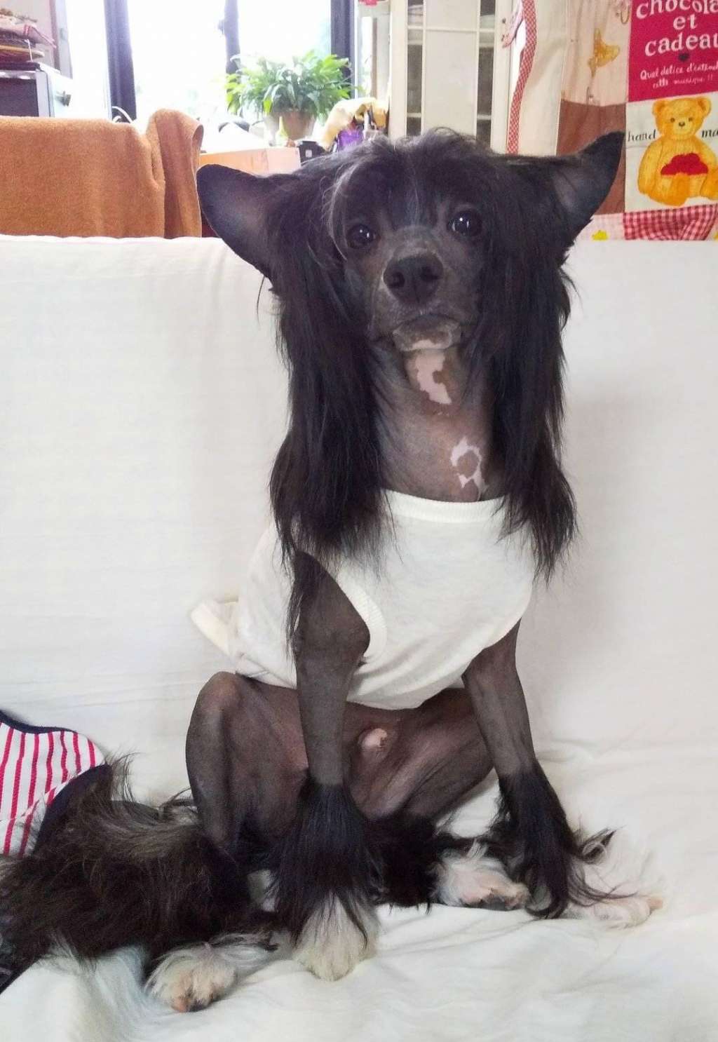 Eternity Sirius Jp Dolph