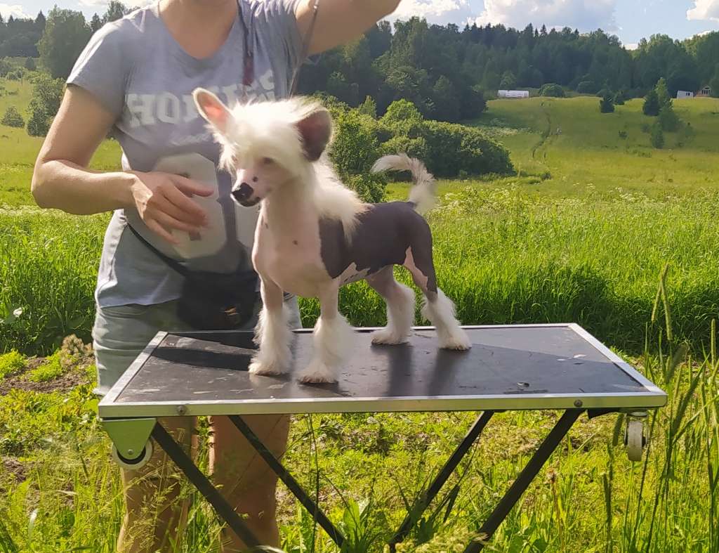 Miniatura Club Ultra Fashion Boy