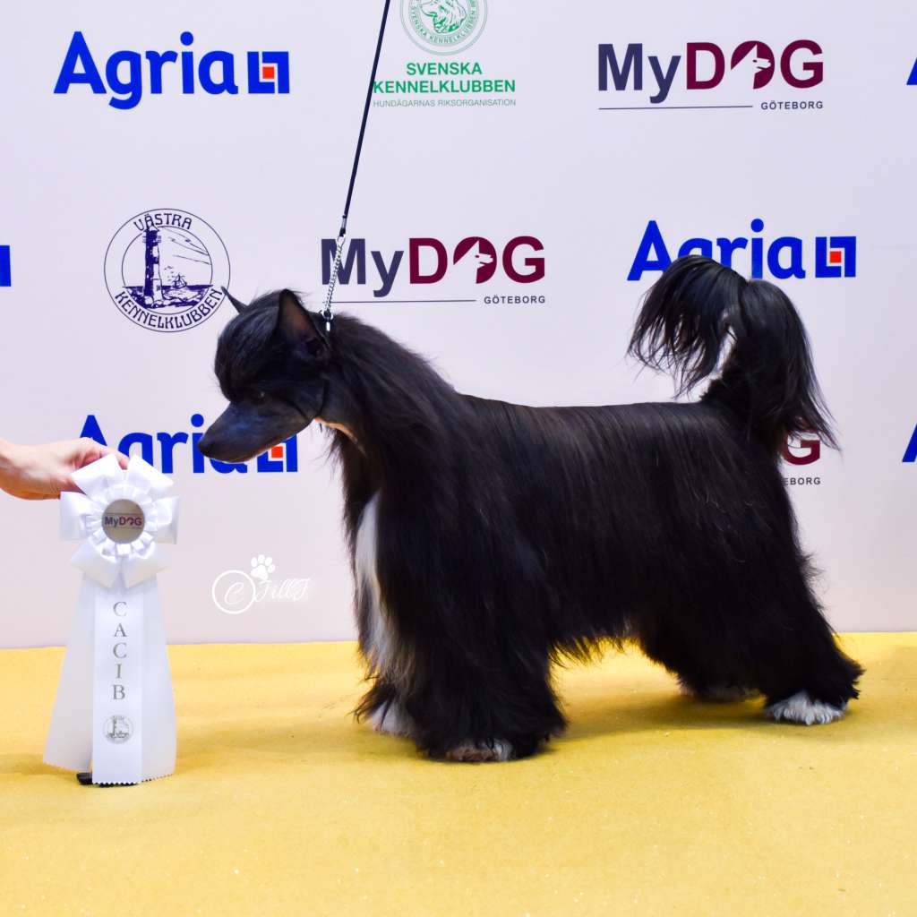 EXxiino's Don't Snooze And Looze