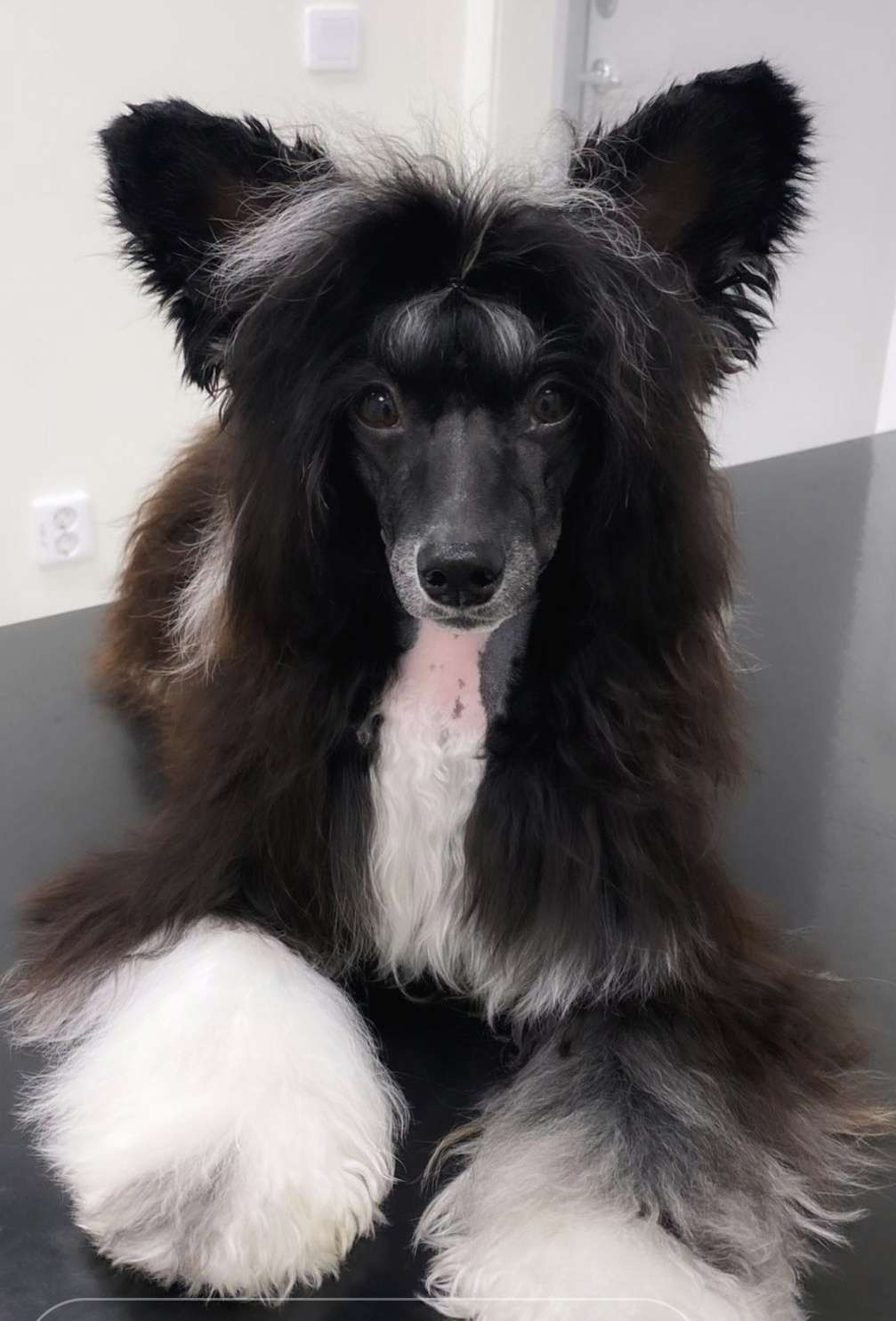 EXxiino's Don't Mezz With Tezz