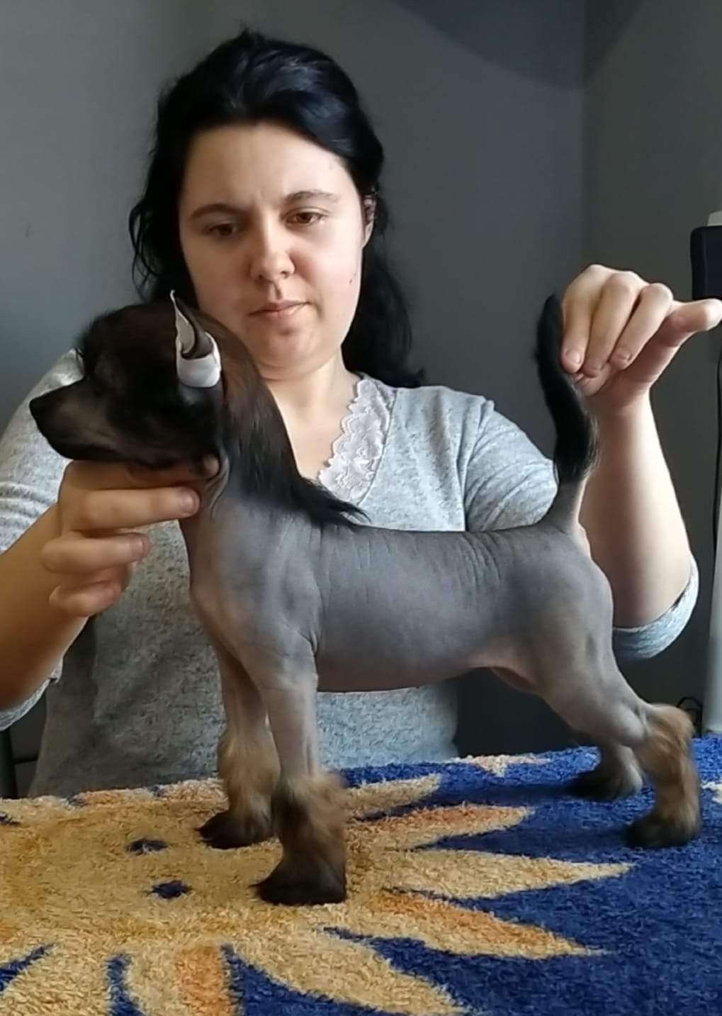 Krina Molosos Gratzi