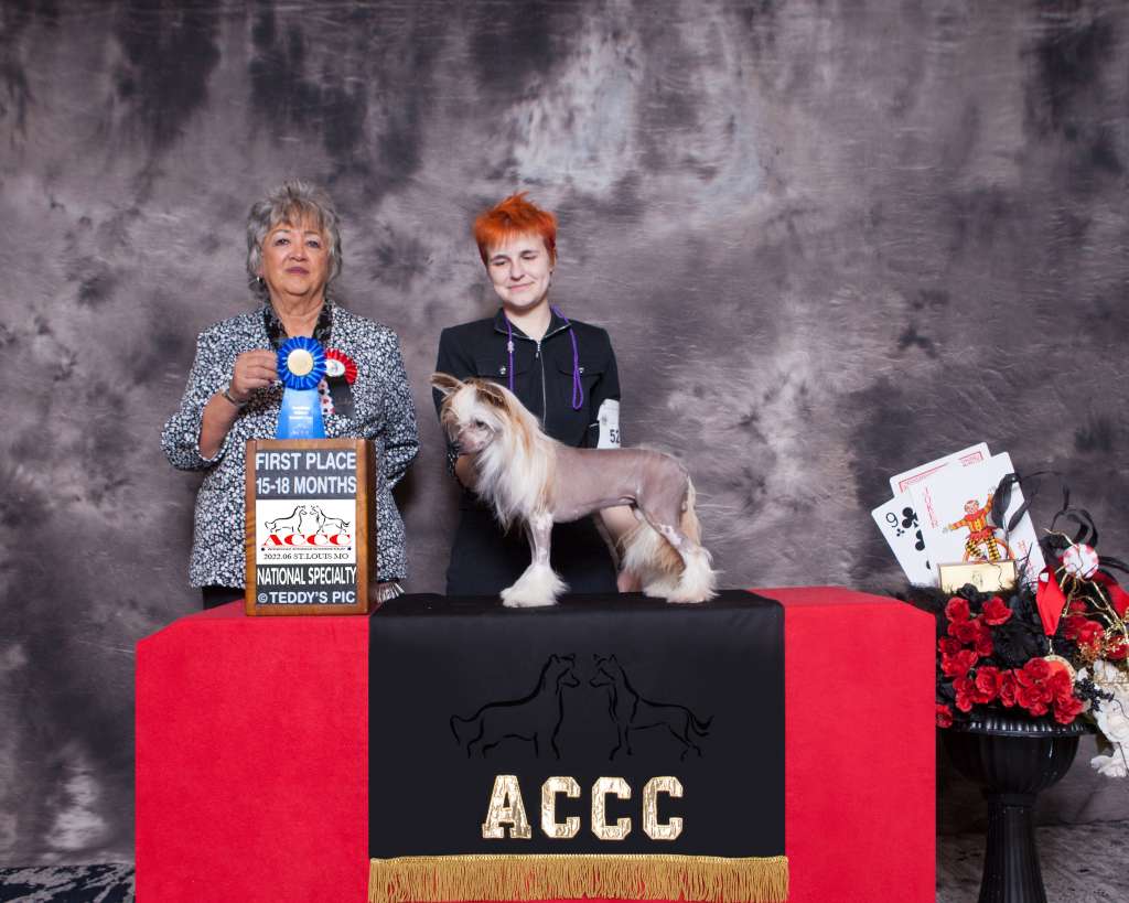 Zenith Fajita The Moment