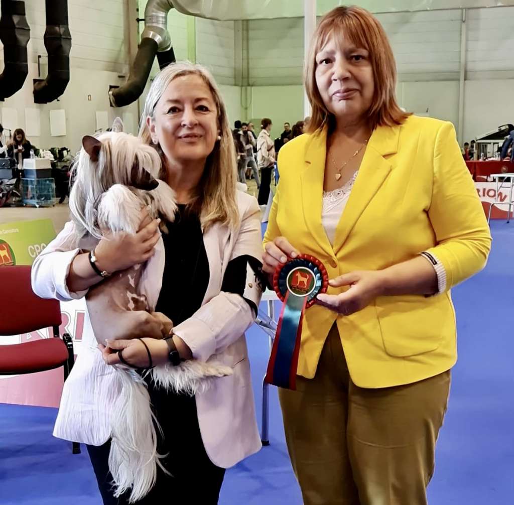 Jr Ch & Ch Chic To Chic Ever Mine