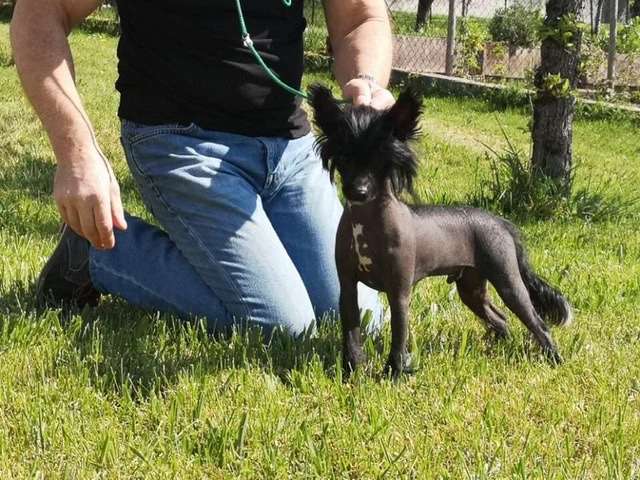 Paco Rabanne Invictus Of Pastime Paradise