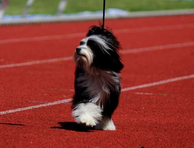 Please Please Me Of Pastime Paradise