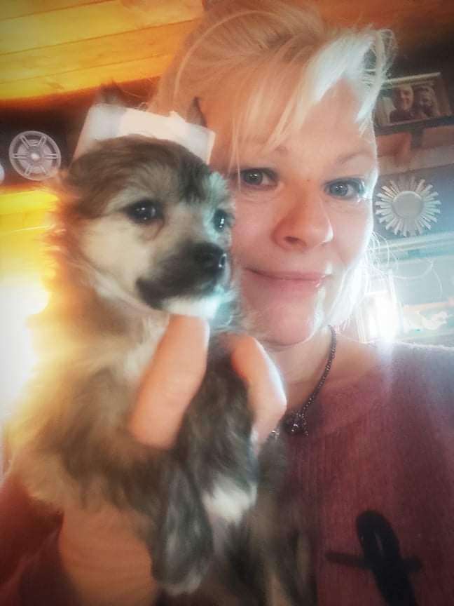 Cc Top Exclusive " Eyko "