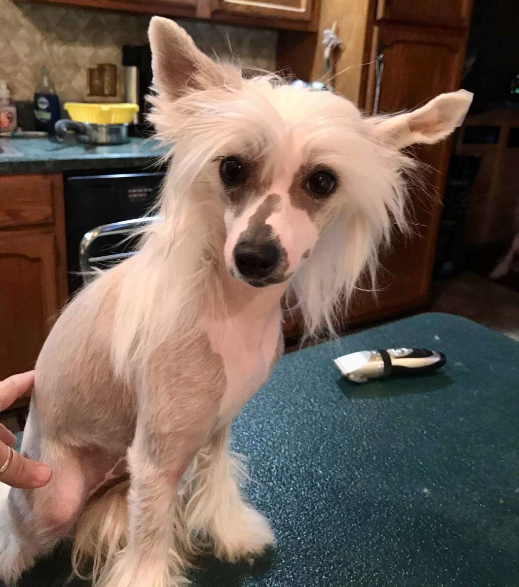 Flying Colors Lovin Touchin Squeezin