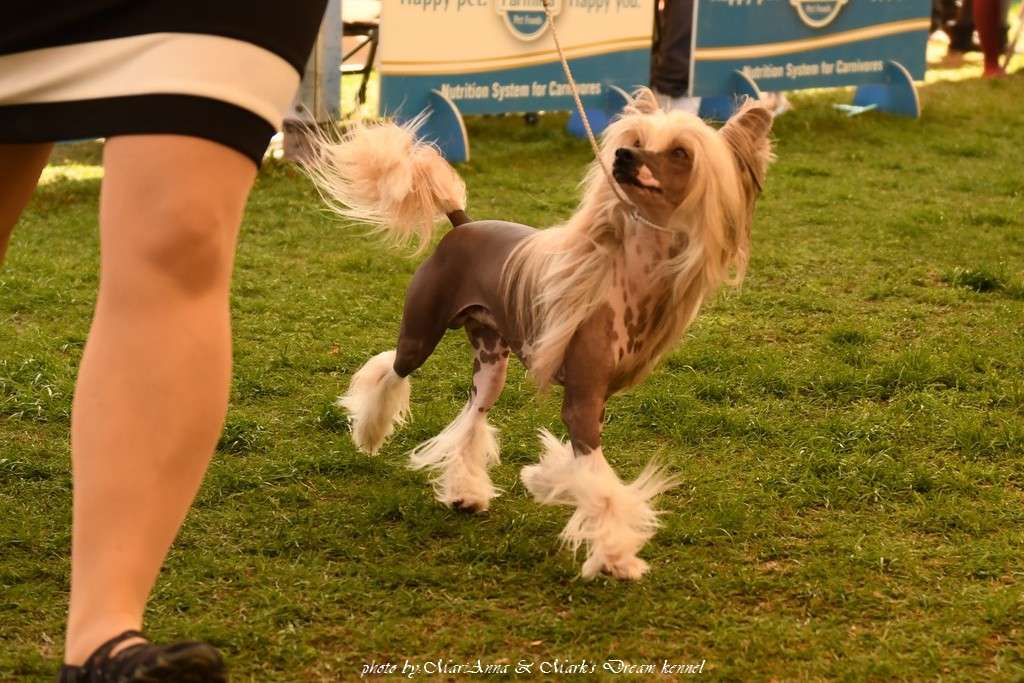 EUJW'21 SevenDrops Chek me Sir