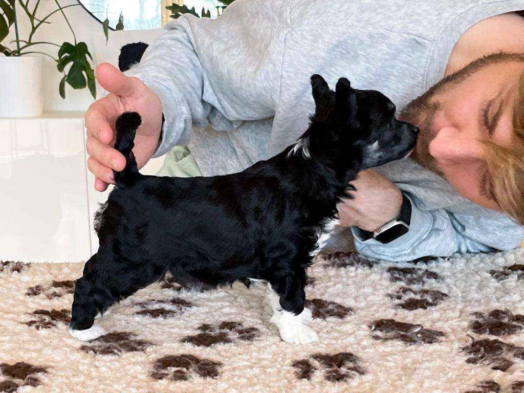 Arte Figure Praise Be