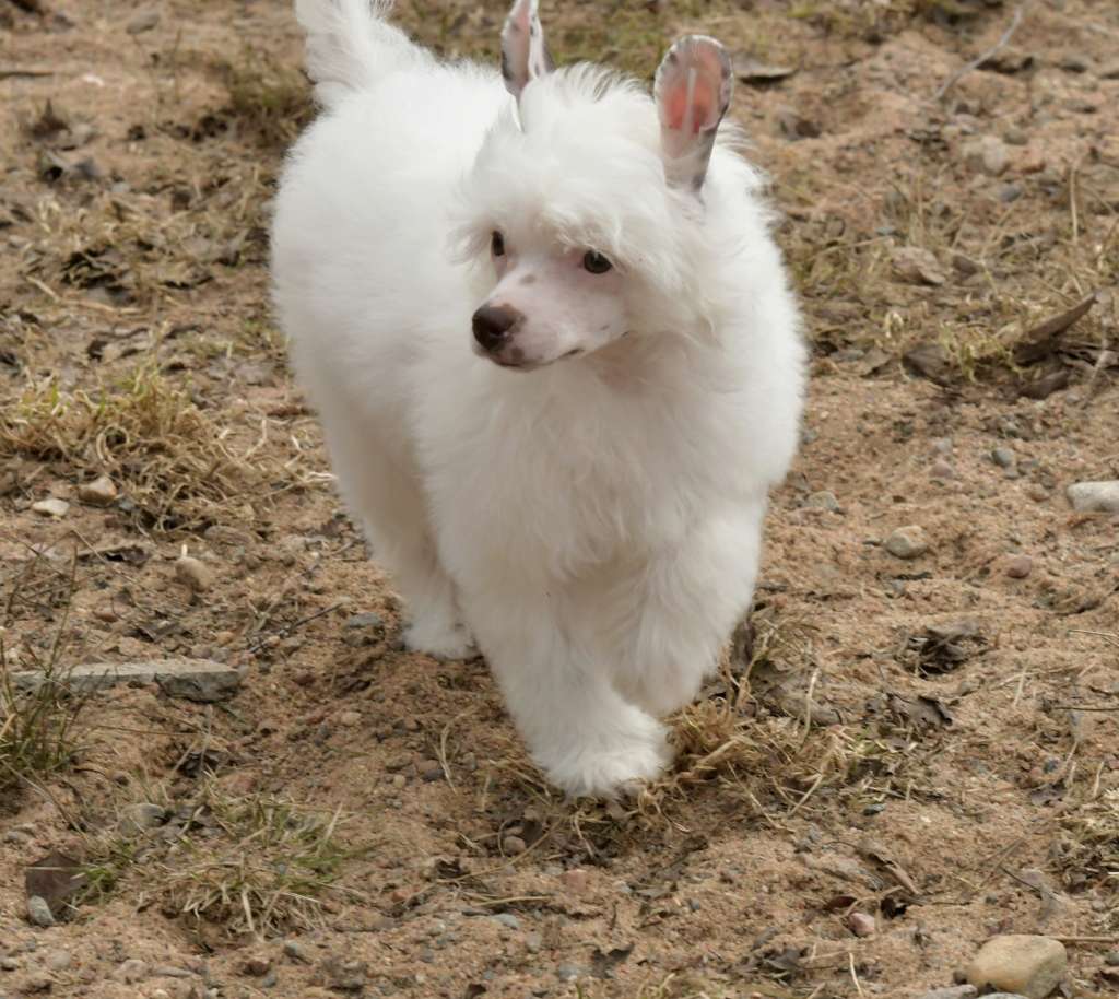 HitLine Ltd Zest in Life