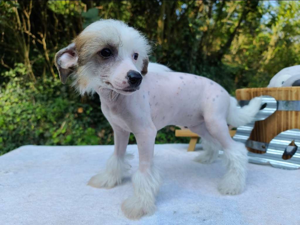 Long Haul's They Call Me Get Back Here