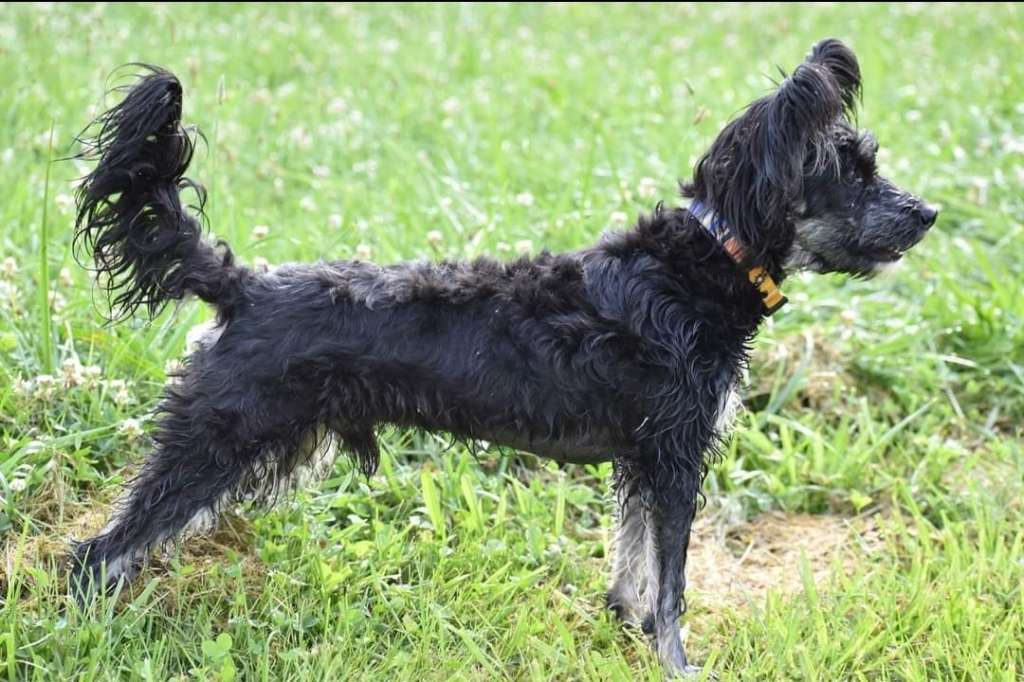 Long Haul's Growling Out Loud