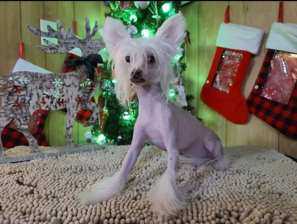 Long Haul's Mischief Managed