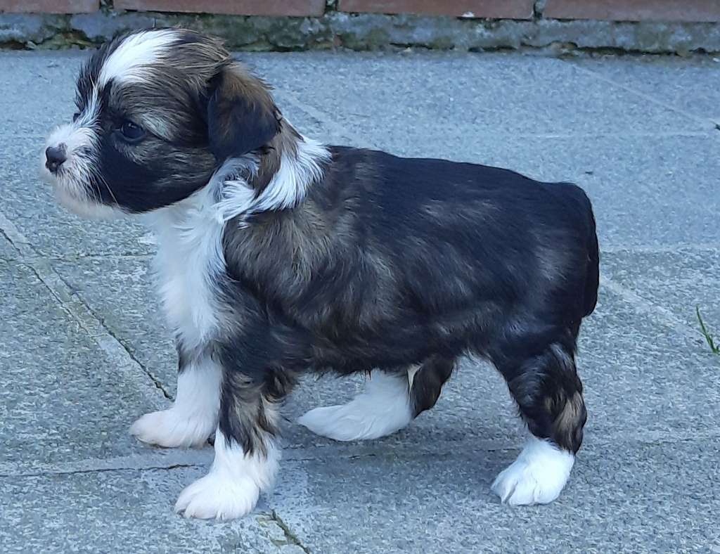 Zero Tolerance Universal Soldier