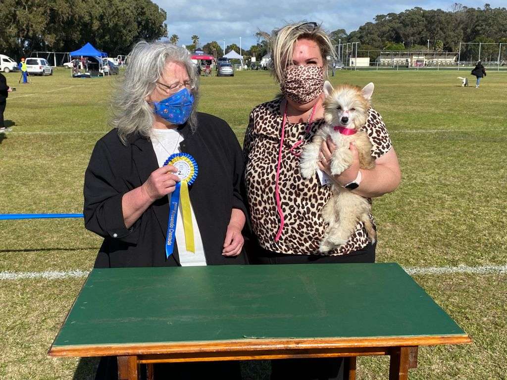 Krescendo If youve got it, flaunt it