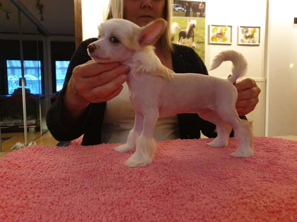 Ridgecrest's Princess Street Danger