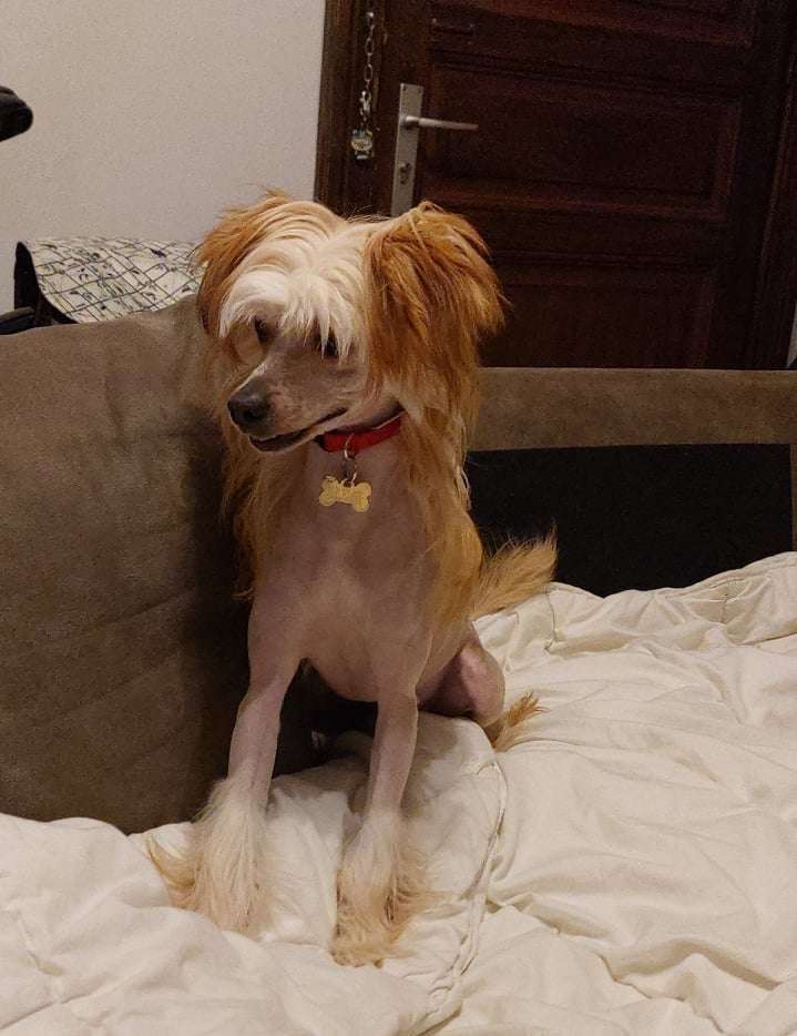 Il était une fois U are my Jolly jumper