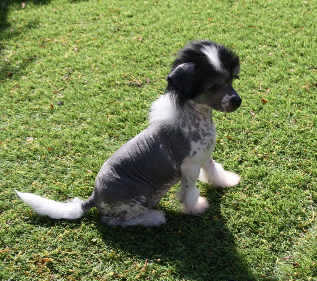 Up My Alley of Angel's Legacy