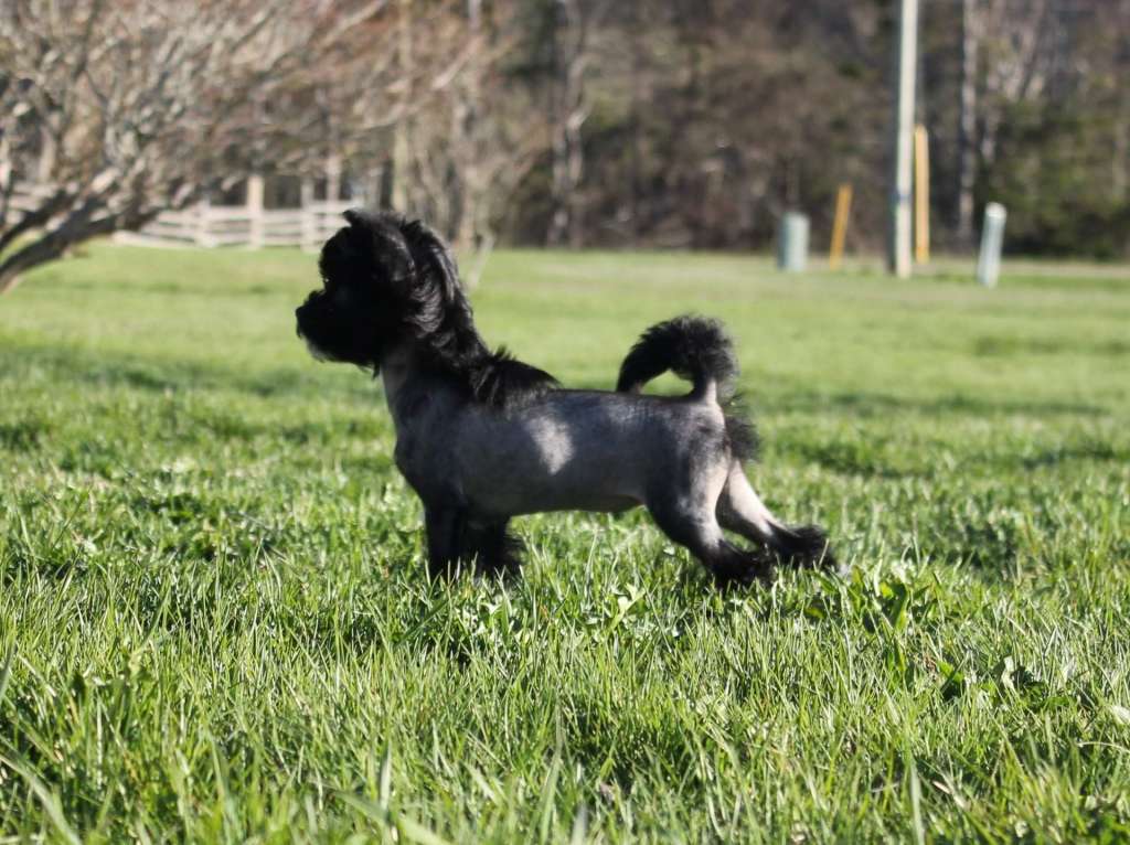 Gardine Can't Spell Awesome Without Me!