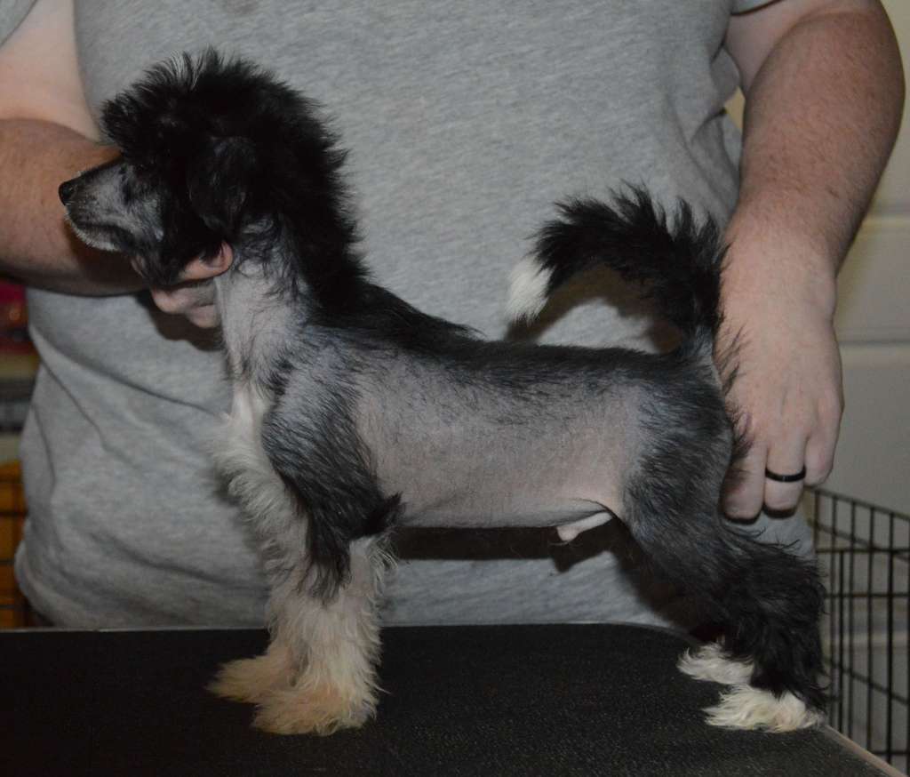 Gardine Reason to Smile