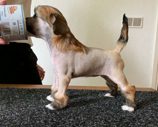 Maybell's What A Prank