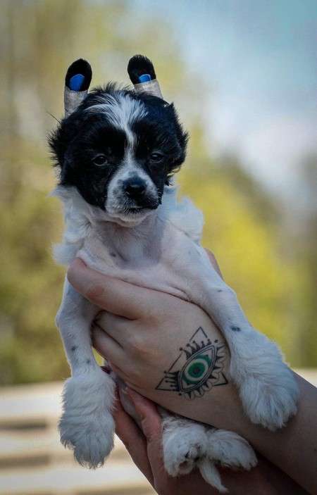 Maybell's Play A Trick