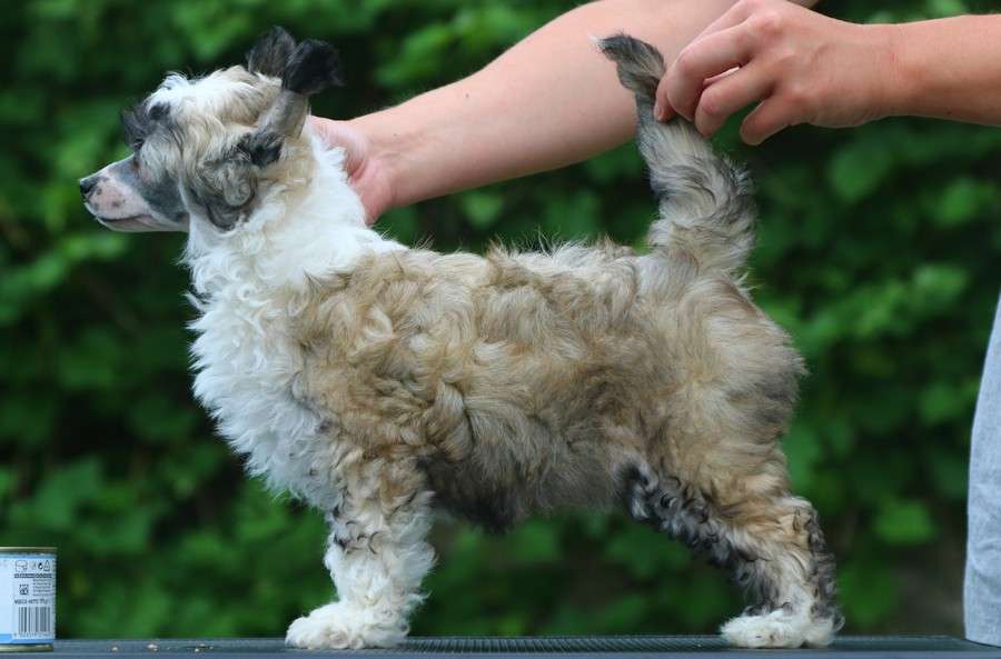 Elsa Arendelle Gattaca