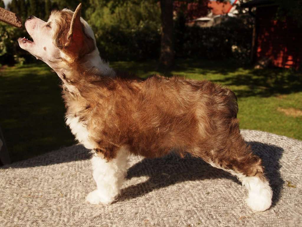 Lusiras Easy To Love