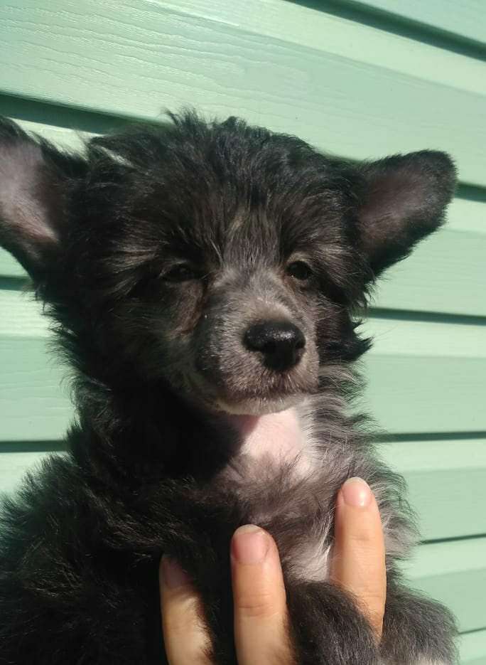 Family Mar'S Prometei