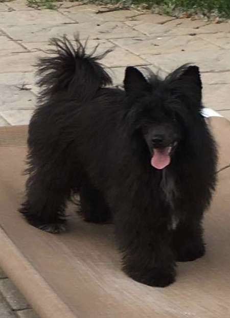 Jewels Temple of Artemis