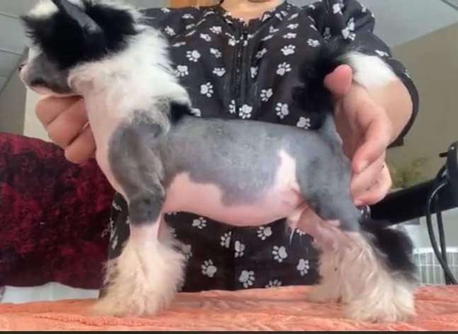 Sunlits Life Of The Party at Dasha