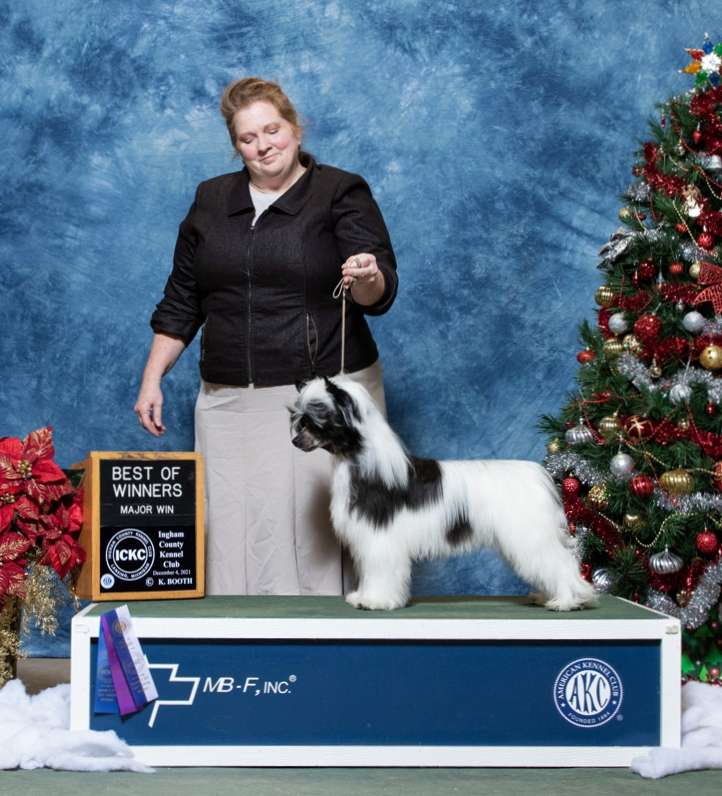 NV and Valour's Vow of Devotion MTM