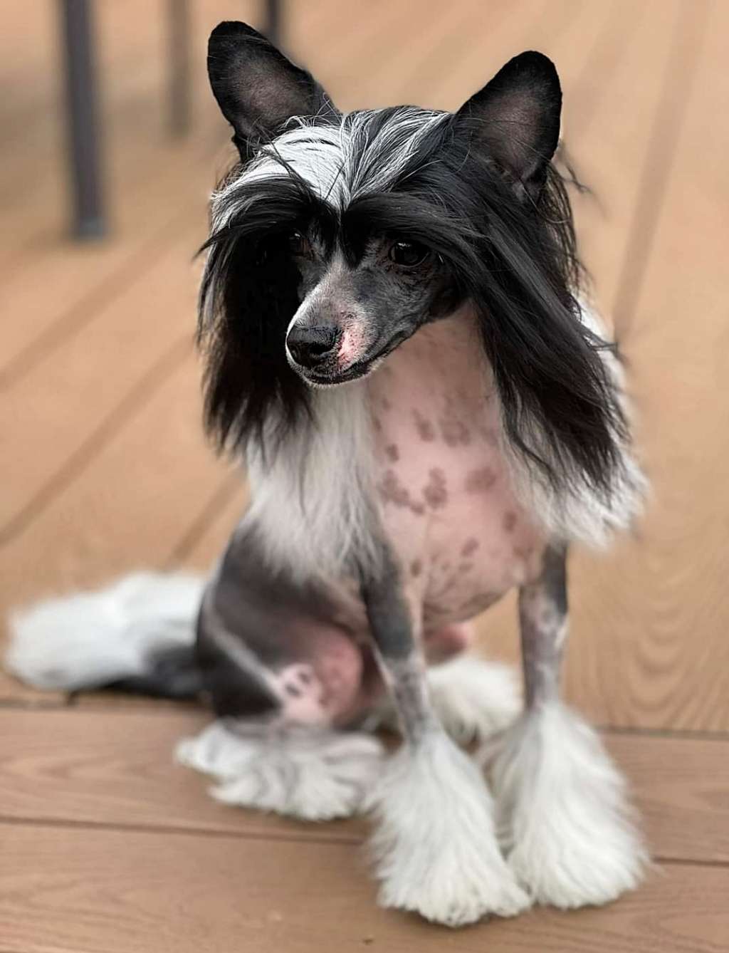 NV and Valour's Its about Time