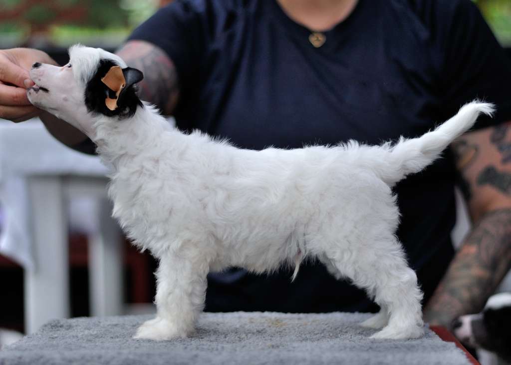 Oblivion Hollywood Undead