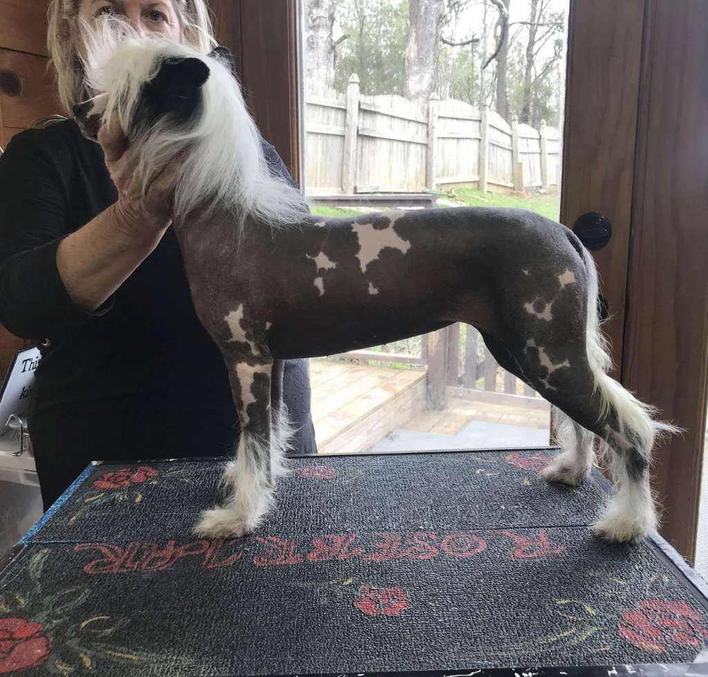 Rosebriar Kaylens Playing In The Rain